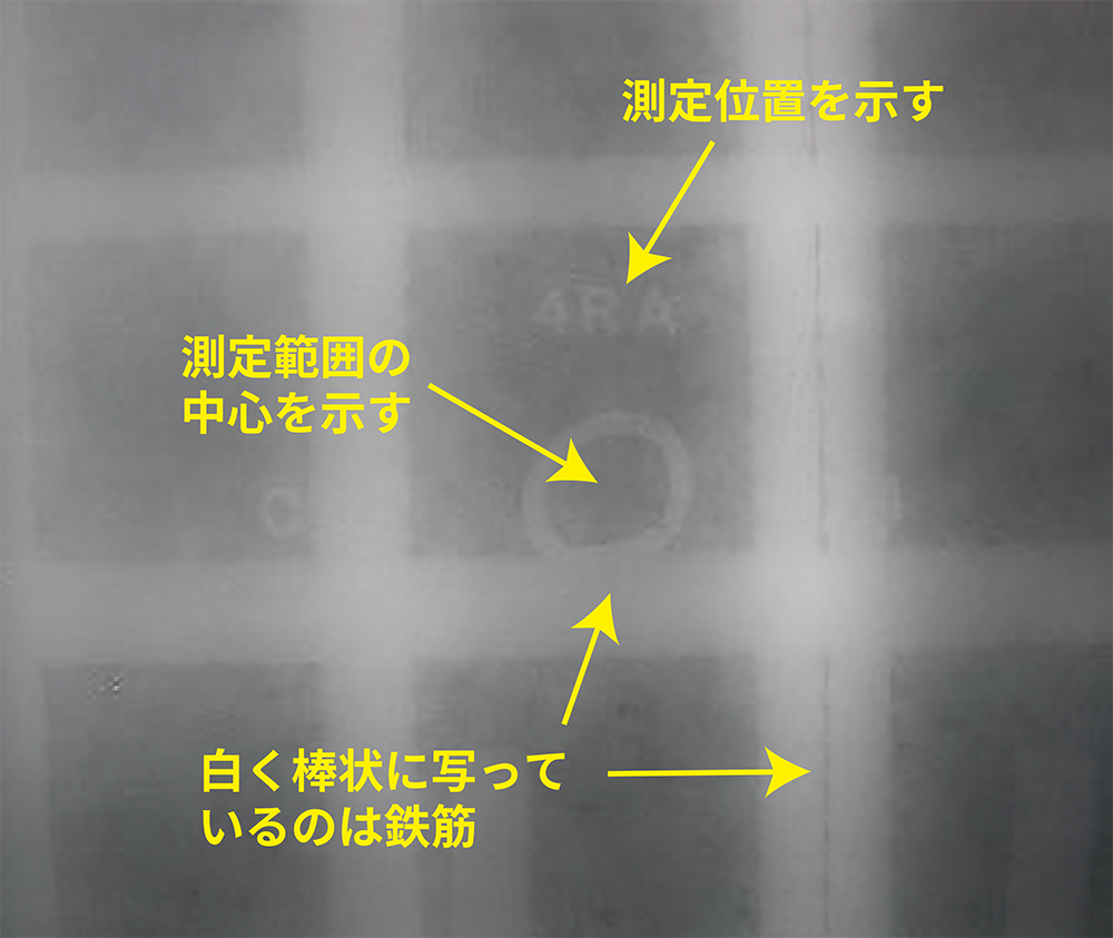 透過写真例